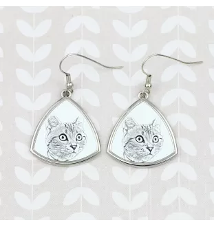 Américain à poil court - boucles d'oreilles avec un chat, boucles d'oreilles pendantes avec une image, bijoux personnalisés avec l'impression de la marque Art-Dog