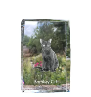Chat de Bombay - cristal avec une photo de chat, photo sous verre, exposition moderne de la marque de photos Art-Dog