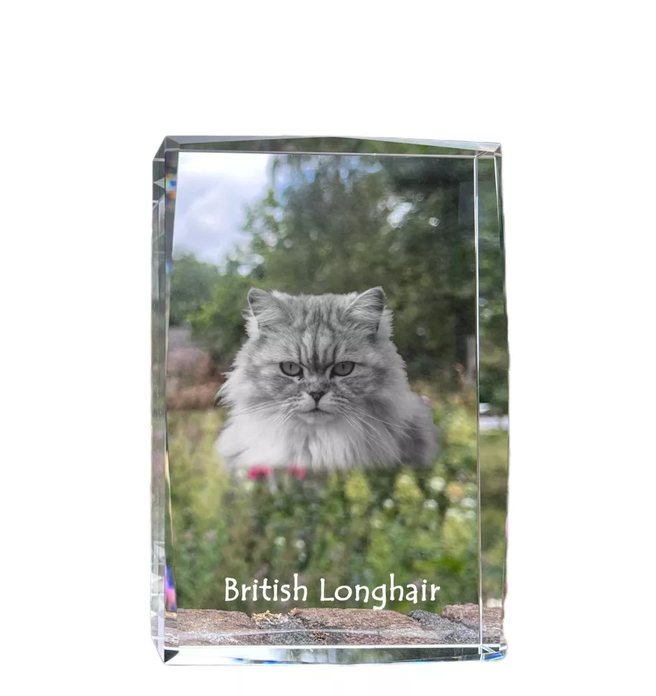 Britisch Langhaar - Kristall mit einem Katzenbild, Bild im Glas, moderne Ausstellung des Art-Dog-Fotos.