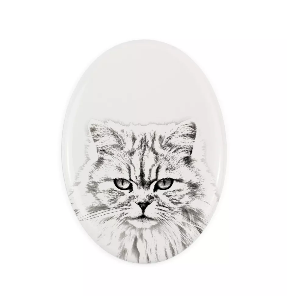 Britisch Langhaar - Gedenktafel mit einem Foto einer Katze, Grabplatte mit Druck, personalisierte ovale Platte der Marke Art-Dog