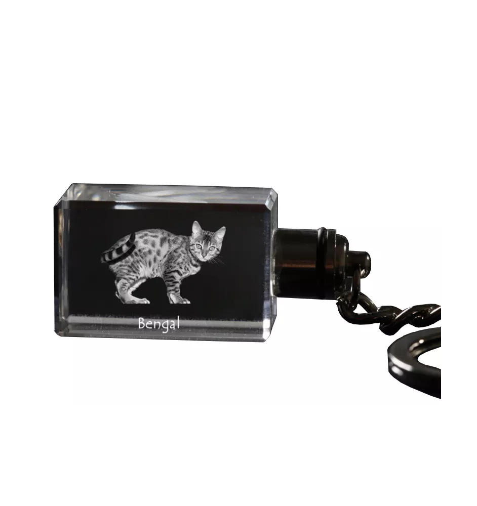 Bengalisch - Kristall-Anhänger mit Katzenfoto, beleuchteter Anhänger, einzigartiges Geschenk der Marke Art-Dog