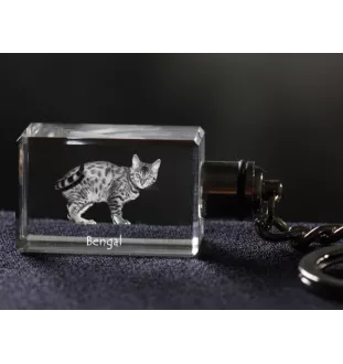 Bengal - Pendentif en cristal avec photo de chat, pendentif lumineux, cadeau unique de la marque Art-Dog