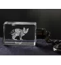 Bengal - Crystal pendant with cat photo, illuminated pendant, unique gift by Art-Dog brand