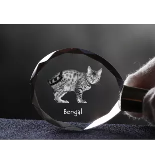 Bengalisch - Fob with cat photo, crystal key ring in gift box, unique gift by Art-Dog brand
