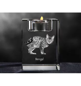 Bengal - Candle holder with cat photo, crystal tealight holder, personalised gift by Art-Dog brand