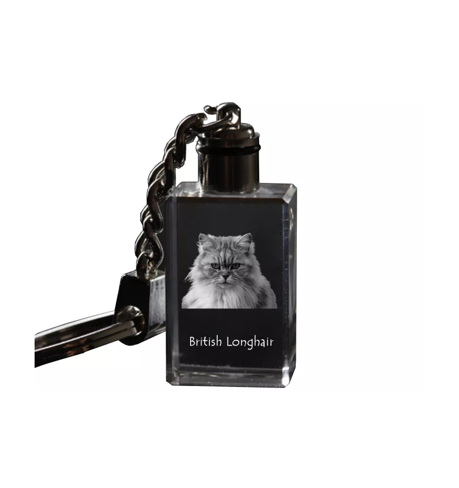 British Longhair - Pendentif en cristal avec photo de chat, pendentif lumineux, cadeau unique de la marque Art-Dog