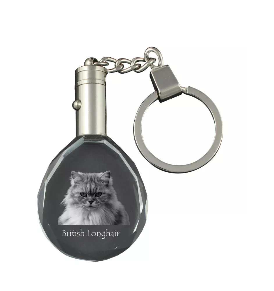 Britisch Langhaar - Fob with cat photo, crystal key ring in gift box, unique gift by Art-Dog brand