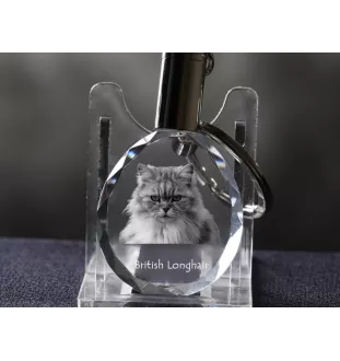 Britisch Langhaar - Fob with cat photo, crystal key ring in gift box, unique gift by Art-Dog brand
