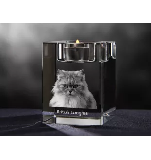 Britisch Langhaar - Kerzenhalter mit Katzenfoto, Teelichthalter aus Kristall, personalisiertes Geschenk der Marke Art-Dog