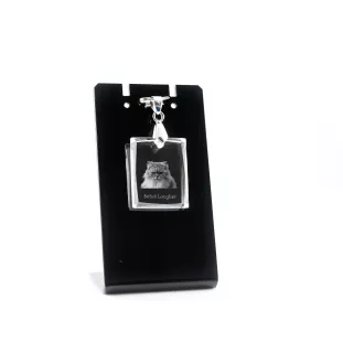 Britisch Langhaar - Crystal cat pendant, photo necklace, unique jewellery by Art-Dog