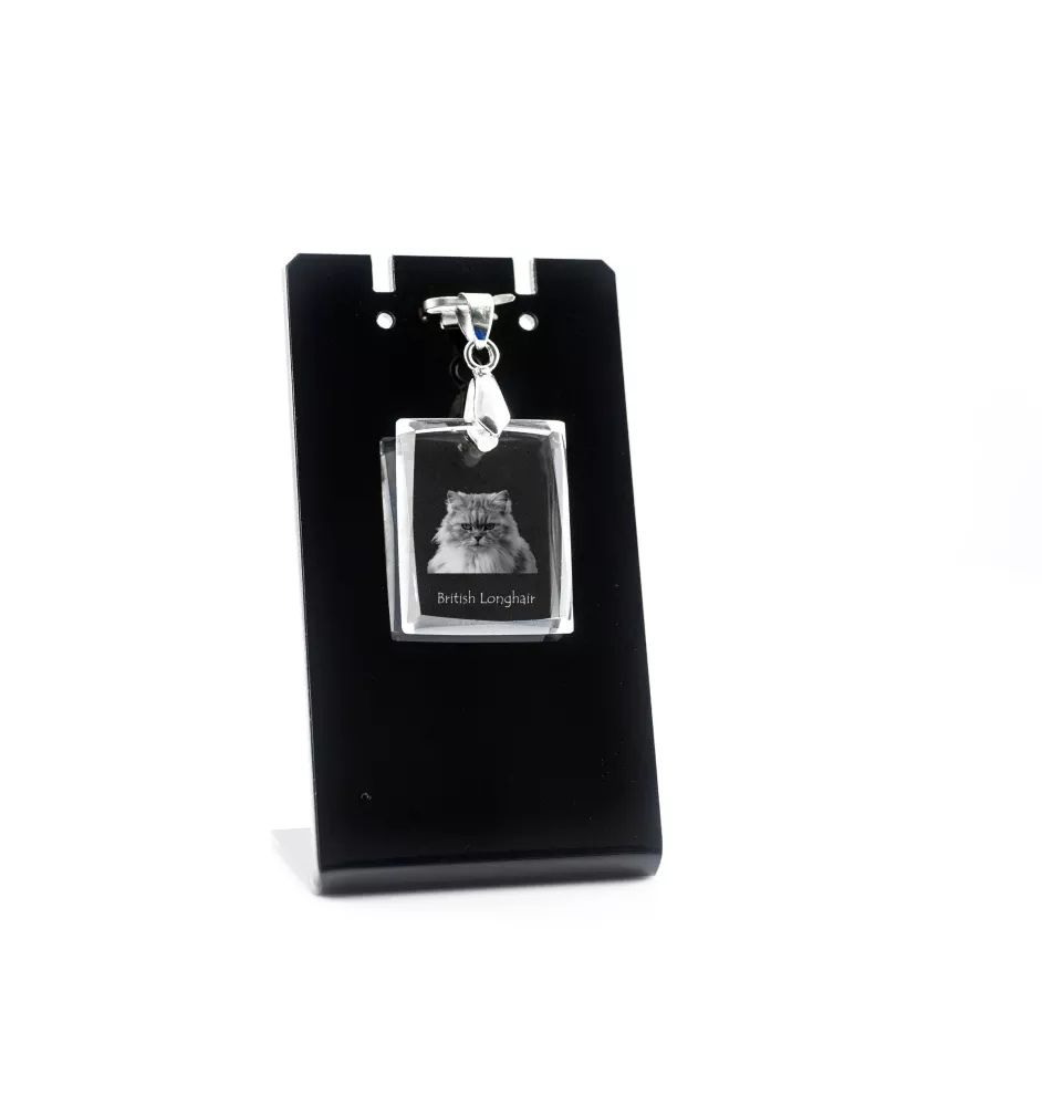 Britisch Langhaar - Crystal cat pendant, photo necklace, unique jewellery by Art-Dog