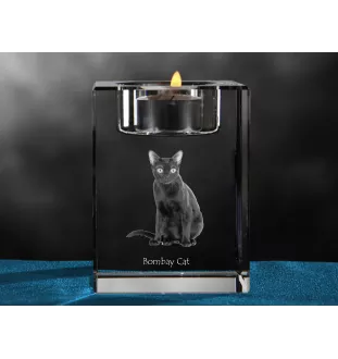 Bombay - Bougeoir avec photo de chat, porte bougie en cristal, cadeau personnalisé par la marque Art-Dog