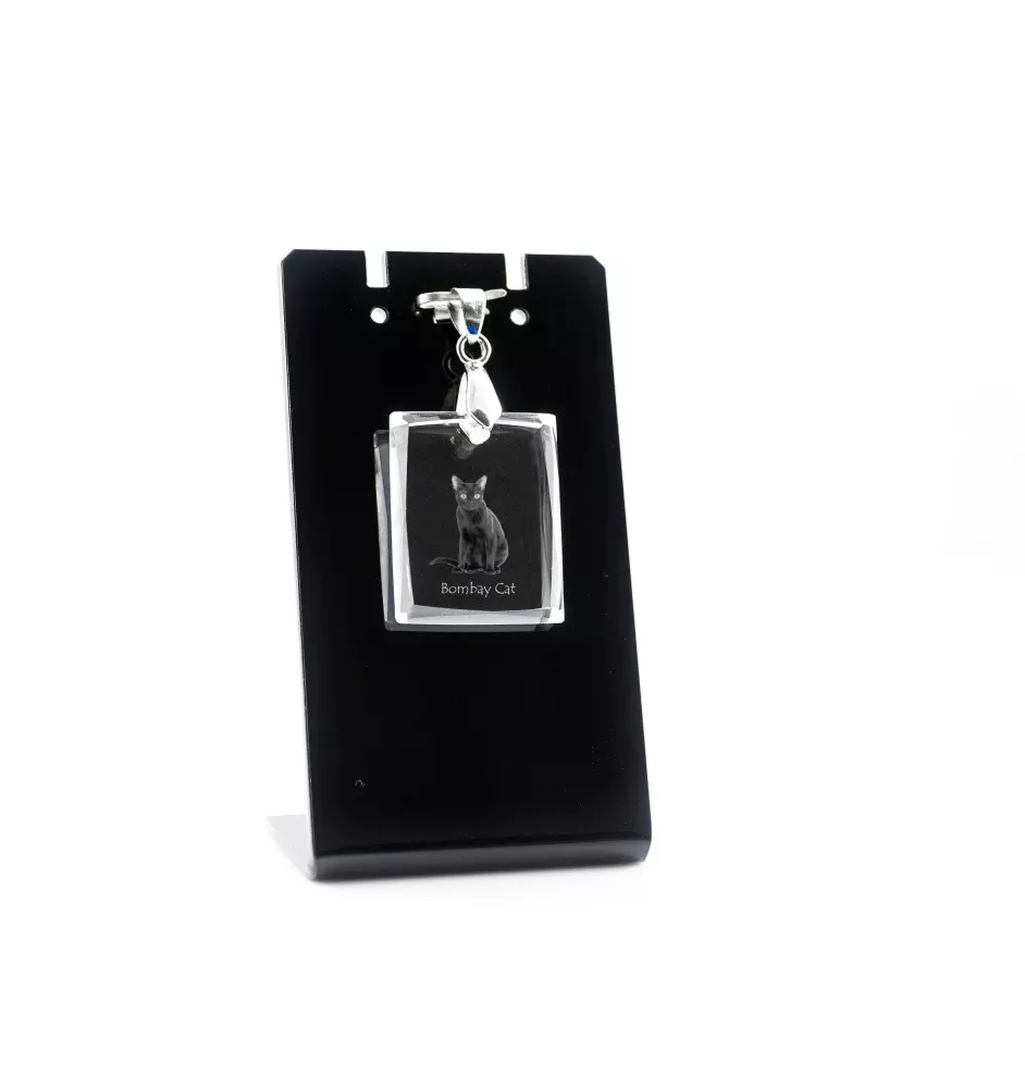 Bombay Cat - Crystal cat pendant, photo necklace, unique jewellery by Art-Dog