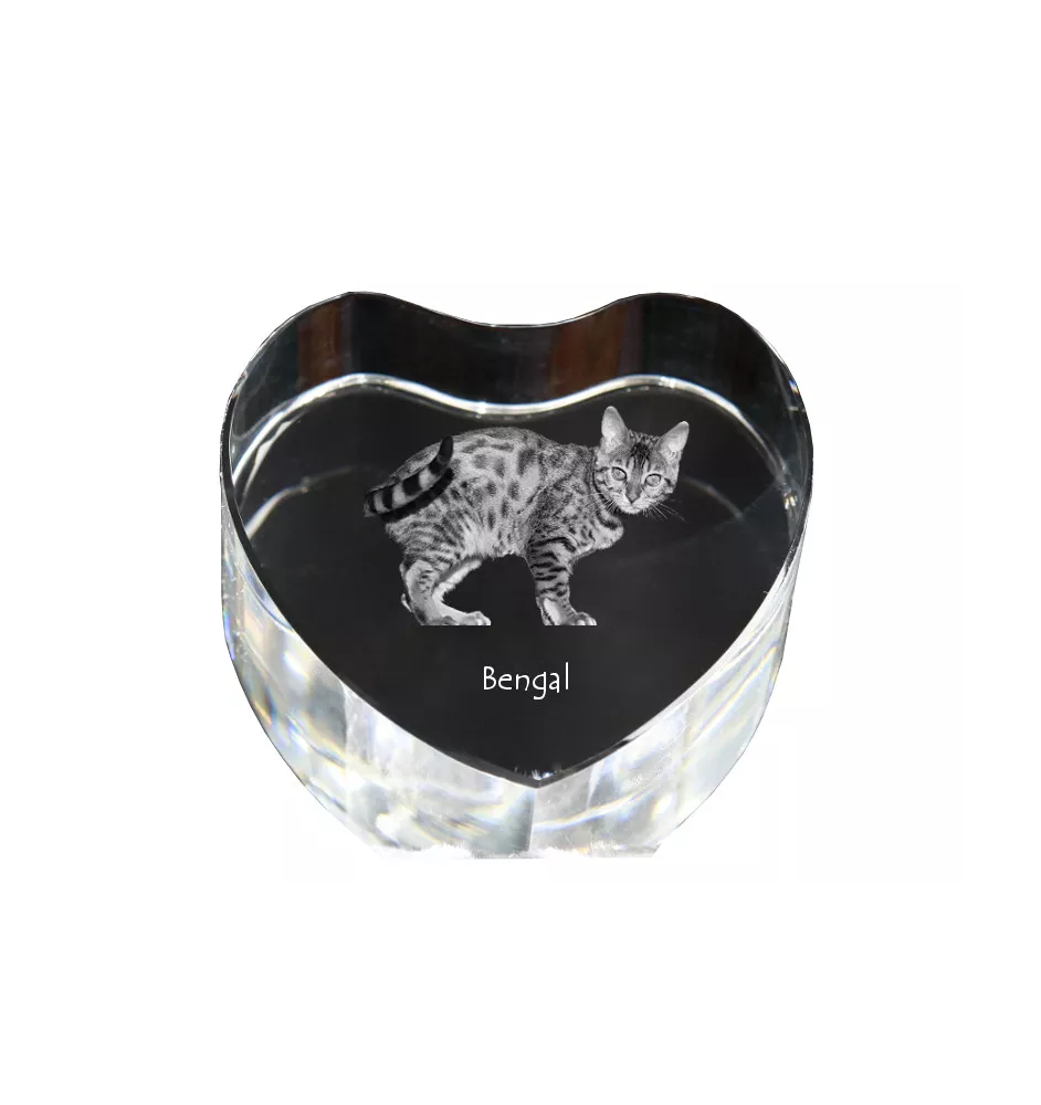 Bengalski serce kryształowe z kotem Art-Dog