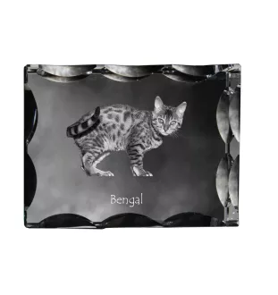 Bengalisch - Kristall mit Katzenbild, Glasstatuette mit Bild, einzigartiger Bilderrahmen der Marke Art-Dog