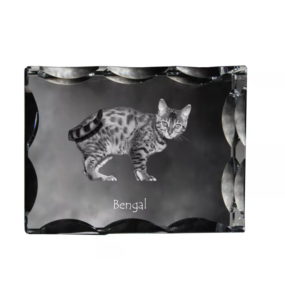Bengalisch - Kristall mit Katzenbild, Glasstatuette mit Bild, einzigartiger Bilderrahmen der Marke Art-Dog