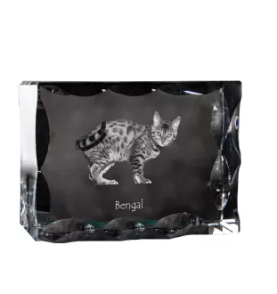 Bengal - crystal with a cat picture, glass statuette with a picture, unique frame with a picture from Art-Dog brand