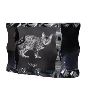 Bengal - cristal avec une photo de chat, une statuette en verre avec une photo, un cadre exceptionnel avec une photo de la marque Art-Dog