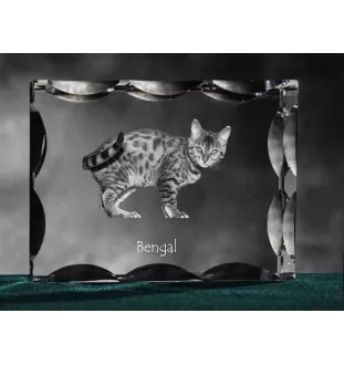 Bengal - crystal with a cat picture, glass statuette with a picture, unique frame with a picture from Art-Dog brand