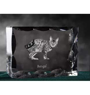 Bengalisch - Kristall mit Katzenbild, Glasstatuette mit Bild, einzigartiger Bilderrahmen der Marke Art-Dog