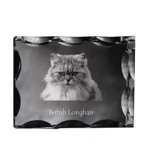 British Longhair - crystal with a cat picture, glass statuette with a picture, unique frame with a picture from Art-Dog brand