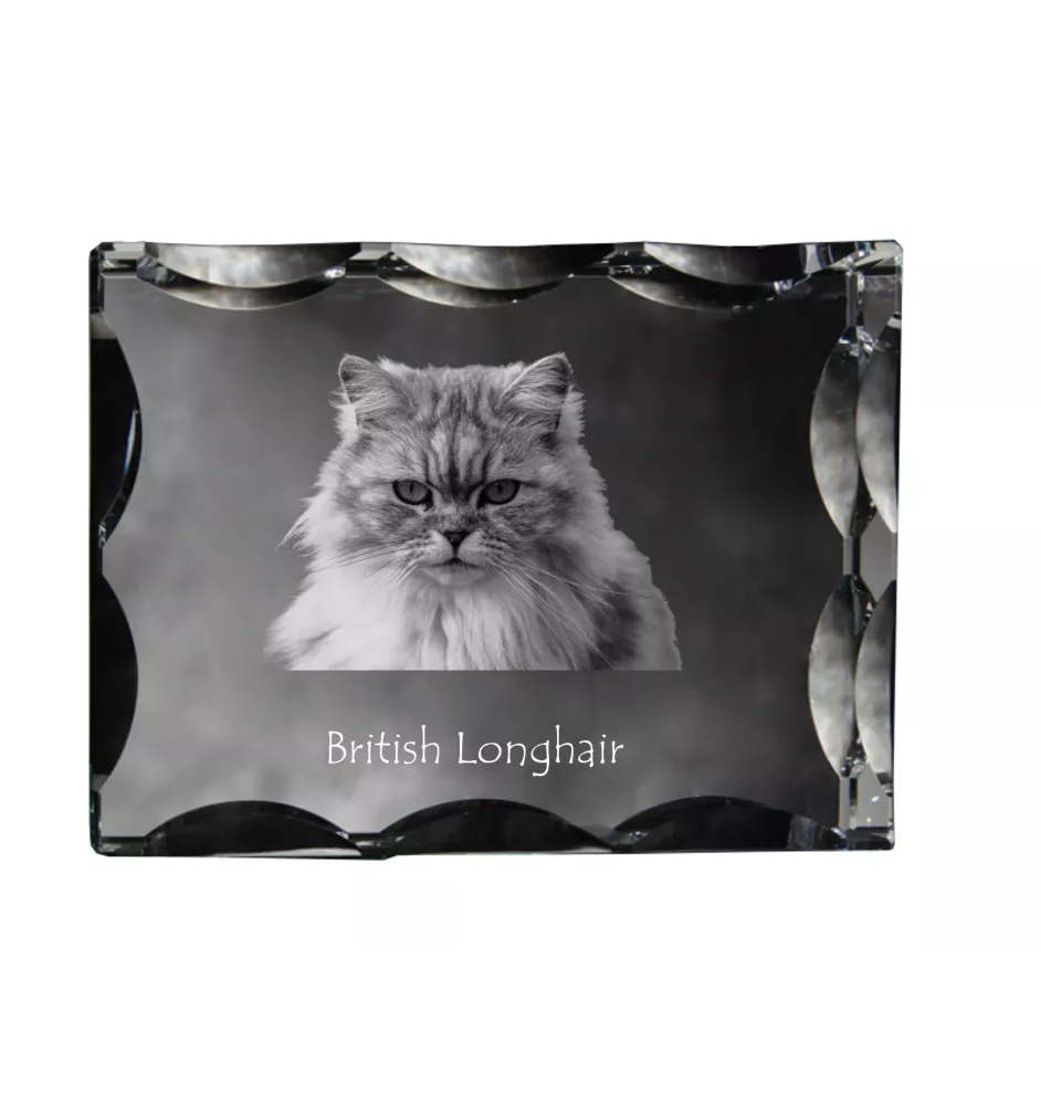 British Longhair - crystal with a cat picture, glass statuette with a picture, unique frame with a picture from Art-Dog brand