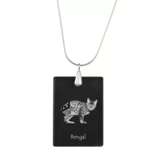 Bengal - Crystal pendant with cat, silver necklace with photo, personalised pendant by Art-Dog brand