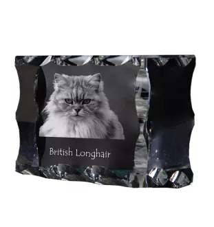 British Longhair - cristal avec une photo de chat, une statuette en verre avec une photo, un cadre exceptionnel avec une photo de la marque Art-Dog