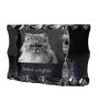 British Longhair - cristal avec une photo de chat, une statuette en verre avec une photo, un cadre exceptionnel avec une photo de la marque Art-Dog
