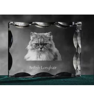 Britisch Langhaar - Kristall mit Katzenbild, Glasstatuette mit Bild, einzigartiger Bilderrahmen der Marke Art-Dog