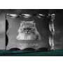 British Longhair - cristal avec une photo de chat, une statuette en verre avec une photo, un cadre exceptionnel avec une photo de la marque Art-Dog