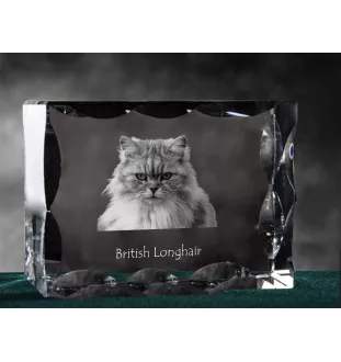 Britisch Langhaar - Kristall mit Katzenbild, Glasstatuette mit Bild, einzigartiger Bilderrahmen der Marke Art-Dog