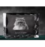 British Longhair - cristal avec une photo de chat, une statuette en verre avec une photo, un cadre exceptionnel avec une photo de la marque Art-Dog