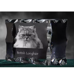 British Longhair - cristal avec une photo de chat, une statuette en verre avec une photo, un cadre exceptionnel avec une photo de la marque Art-Dog