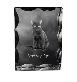Bombay Cat - crystal with a cat picture, glass statuette with a picture, unique frame with a picture from Art-Dog brand