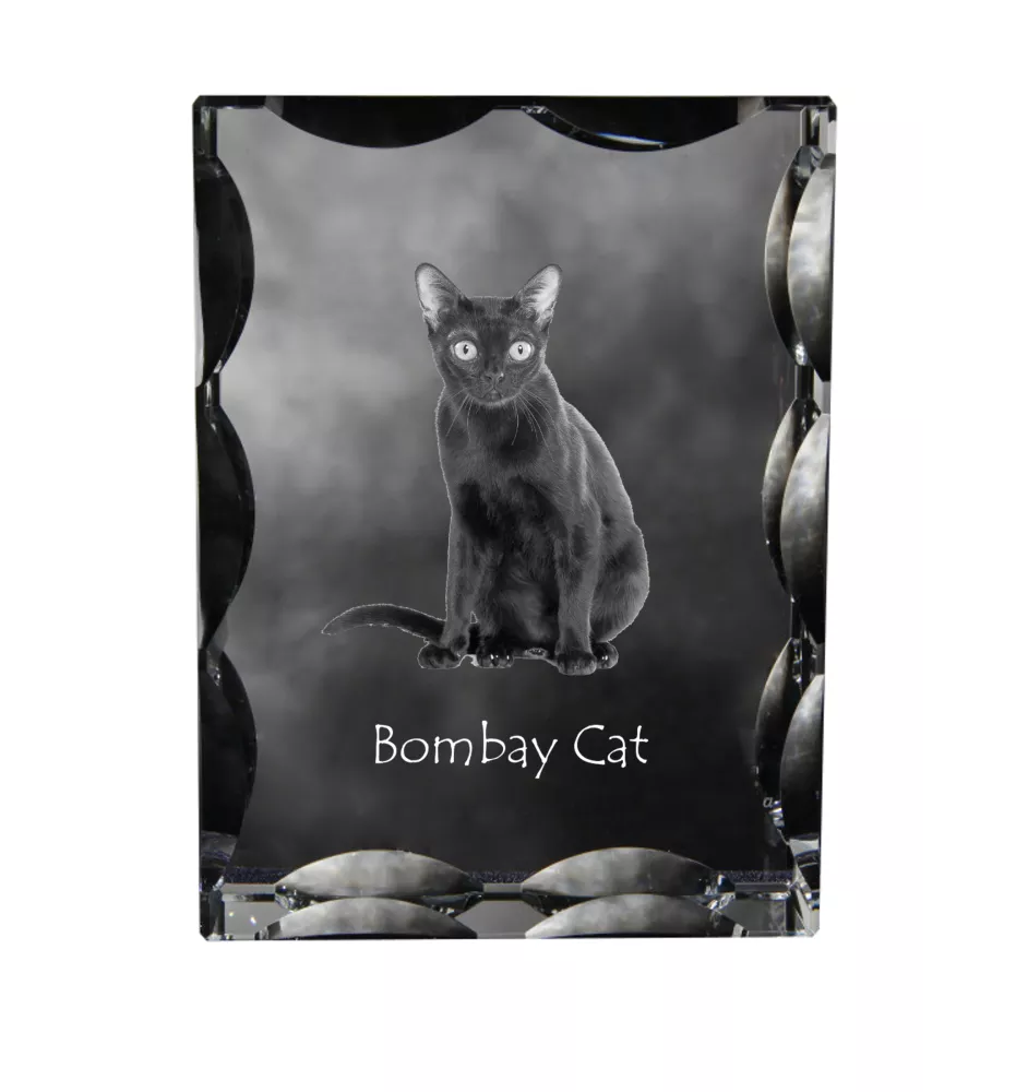 Bombay-Katze - Kristall mit Katzenbild, Glasstatuette mit Bild, einzigartiger Bilderrahmen der Marke Art-Dog