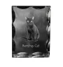 Bombay Cat - crystal with a cat picture, glass statuette with a picture, unique frame with a picture from Art-Dog brand