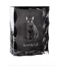 Chat de Bombay - cristal avec une photo de chat, une statuette en verre avec une photo, un cadre exceptionnel avec une photo de la marque Art-Dog