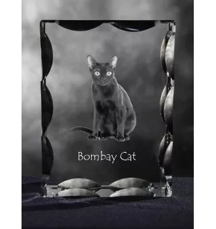 Bombay-Katze - Kristall mit Katzenbild, Glasstatuette mit Bild, einzigartiger Bilderrahmen der Marke Art-Dog