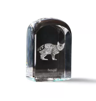 Bengalisch - Kristallwürfel mit Bild, Katzenbild im Kristall, sechseckiger Papierclip von der Marke Art-Dog