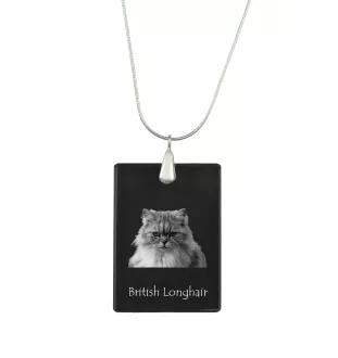 Britisch Langhaar - Crystal pendant with cat, silver necklace with photo, personalised pendant by Art-Dog brand