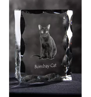 Bombay Cat - crystal with a cat picture, glass statuette with a picture, unique frame with a picture from Art-Dog brand