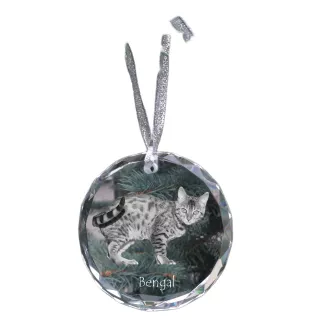Bengal - boule de Noël en cristal avec une photo, photo d'un chat dans le cristal, décoration personnalisée pour sapin de Noël de la marque Art-Dog