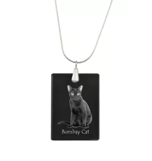 Chat de Bombay - Crystal pendant with cat, silver necklace with photo, personalised pendant by Art-Dog brand