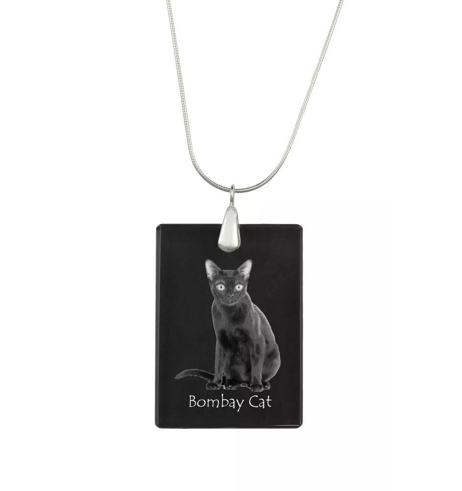 Chat de Bombay - Crystal pendant with cat, silver necklace with photo, personalised pendant by Art-Dog brand