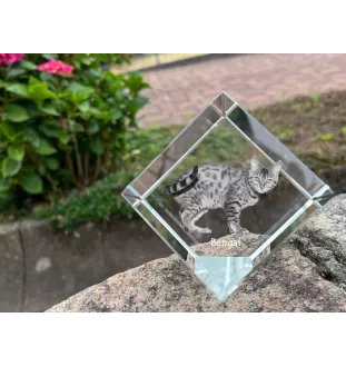 Bengal - crystal cube with a picture of a cat, crystal with a picture of a horse, cubic paperweight by Art-Dog brand
