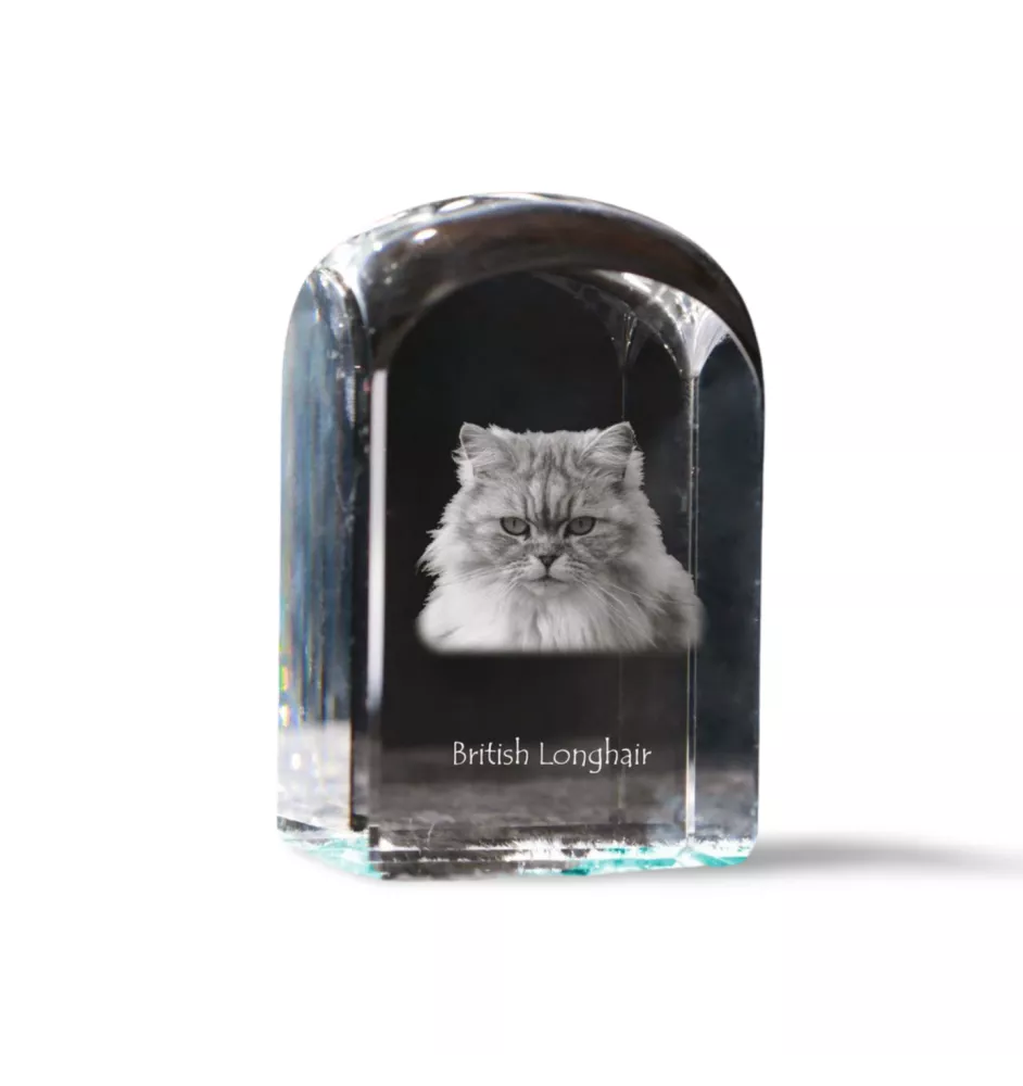 British Longhair - un cube en cristal avec une photo, une photo de chat dans le cristal, un presse-papiers cubique de la marque Art-Dog