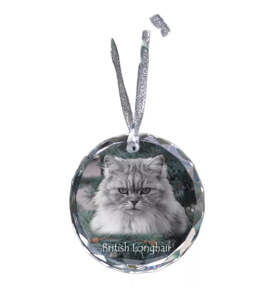 Britisch Langhaar - Kristallkugel mit Foto, Katzenfoto im Kristall, personalisierter Weihnachtsbaumanhänger von Art-Dog.