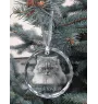 British Longhair - boule de Noël en cristal avec une photo, photo d'un chat dans le cristal, décoration personnalisée pour sapin de Noël de la marque Art-Dog