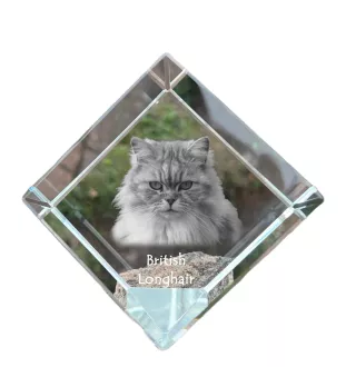British Longhair - un cube en cristal avec une photo de chat, une photo de cheval dans le cristal, un presse-papiers cubique de la marque Art-Dog